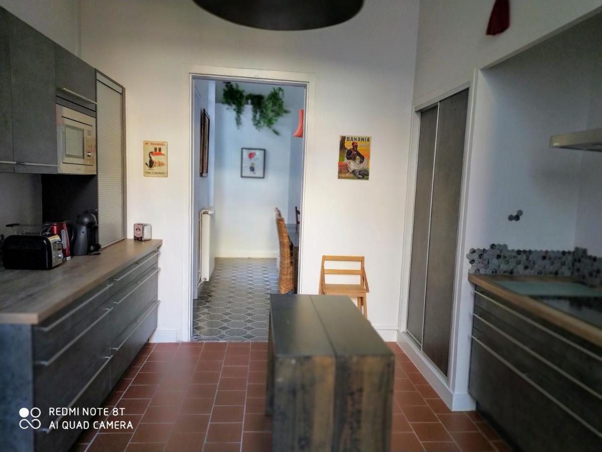Le Selamat, Logis Xxl Au Calme Avec Terrasse Carcassonne Eksteriør billede